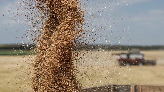 Экспортеры зерна просят продлить срок действия фитосанитарных сертификатов до 60 дней