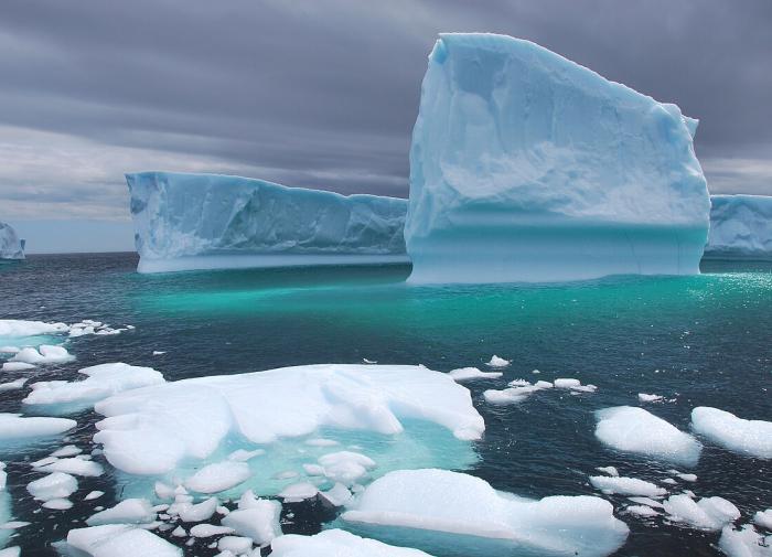 Science: разгадана тайна огромной полыньи в Антарктике
