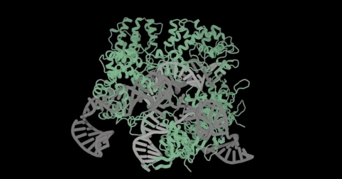 Cозданная нейросетью система CRISPR-Cas9 отредактировала геном человеческих клеток